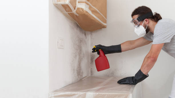 Professional Mold Testing technician working in Branchville, VA