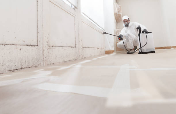 24/7 Emergency Mold Testing experts in Branchville, VA